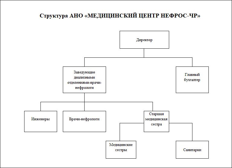 Структура организации